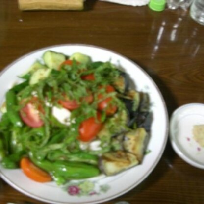 レシピ参考にさせて頂きました(^^)/夏の定番に決定です!とても美味しく色鮮やかで素敵なレシピ有難うございます(#^.^#)お野菜が摂れるので健康的!(^^)!